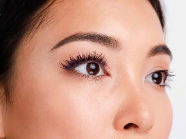 Volume Lashes